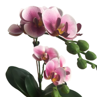 Bunga Anggrek Pot Pink Buatan, Bunga Anggrek Pot Sentuhan Asli 38Cm Batang Tunggal