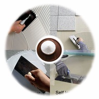 Imperméabilisation RDP Adhésif VAE/RDP Plâtre et Additif de mastic mural pour l'étanchéité et le collage