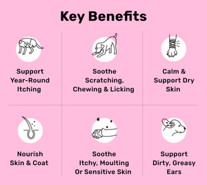 Marca Privada Soothe: Golosinas Nutritivas para Perros que Alivian la Picazón, Fortalecen la Piel y la Inmunidad, Cuidado de la Salud y Suplementos para Mascotas - Product Image 3