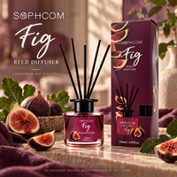 Diffuseur de parfum d'ambiance à bâtonnets en verre pour la maison, bâtonnets en fibre, fournisseur en gros, marque privée, direct usine