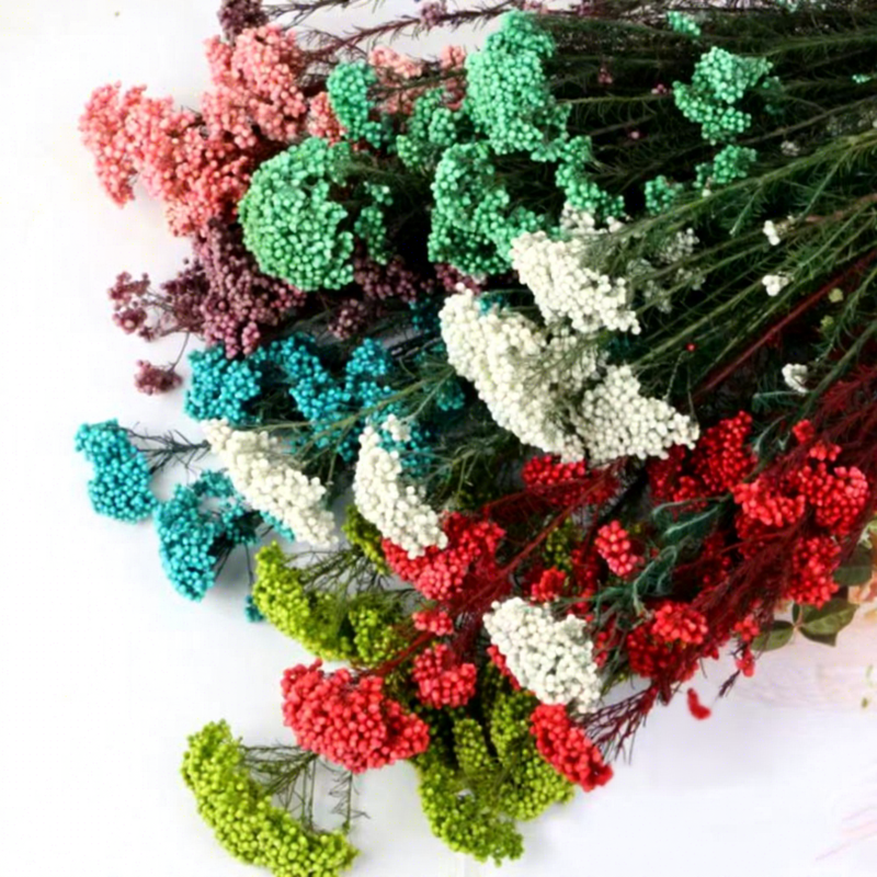 QSLH C1321 Hot Sale Preserved Flower