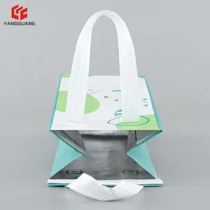 Custom High Quality Logo Size Non Woven Aluminum Foil Insulated New Folding Cooler Bag
