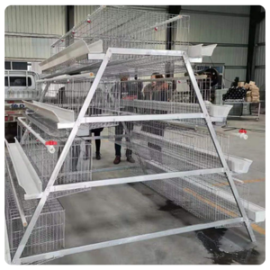 Hangar à volaille pour la conception d'aliments pour couches <span class=keywords><strong>Cage</strong></span> à coq à vendre MT ferme A type Prix de la <span class=keywords><strong>cage</strong></span> à poulet poules pondeuses - Product Image 4