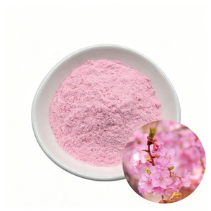 Poudre de Sakura en vrac de haute qualité, poudre de fleurs de cerisier, extrait de Sakura en poudre - Product Image 1