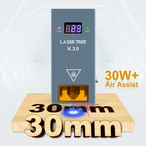 Lazer ağacı güçlü 30W optik güç diyot mavi lazer kafası modülü CNC kesme gravür ahşap hava destekli hortum ile 160W