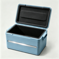 Nieuwe Design 42L Geïsoleerde PP Schuim Outdoor Camping Opvouwbare Koelboxen Met Handgrepen