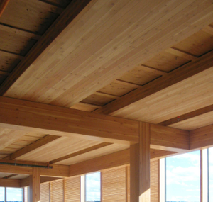 Vigas Estructurales de Madera Encolada (Grado de Apariencia Arquitectónica) - Product Image 6