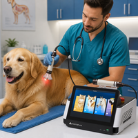 Nueva Máquina de Terapia Física Veterinaria con Láser de Diodo de 980 Nm y 30 W para Alivio del Dolor en Animales