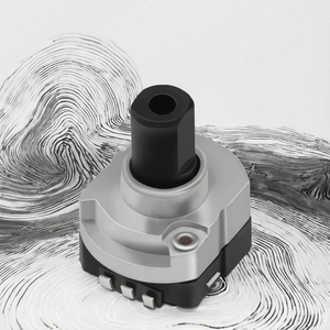 Potenciómetro de 6.5mm*8.1mm para Radio Portátil Soundwell RS06 con Interruptor en Línea - Product Image 3