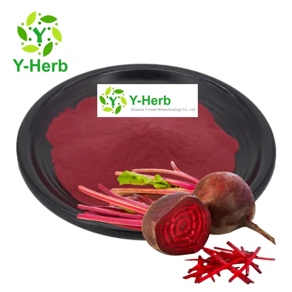 Factory Price Spray Dried Beet Root Extract Powder/Red Beet Root Powder/Red Beet Root Extract