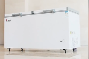 Refrigerador de Gran Capacidad para Uso Doméstico y Comercial, de Alta Eficiencia Energética, Congelación Rápida, Doble Uso, Horizontal, de <span class=keywords><strong>Segunda</strong></span> <span class=keywords><strong>Mano</strong></span> 1 - Product Image 2
