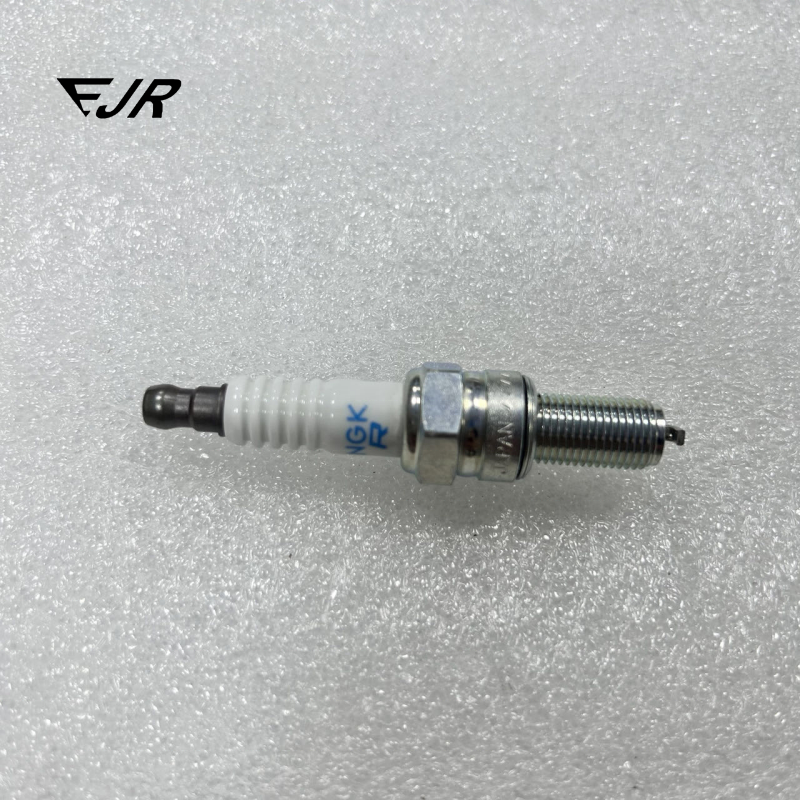 192637 Spark Plug for Ferrari 355, 360, 430 Quattroporte
