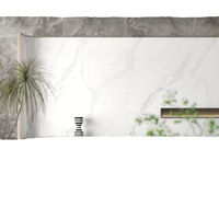 Dalle de marbre jet d'encre grand format Carreaux muraux en porcelaine pierre frittée numérique émaillée pour la décoration de la chambre Meilleur prix fournisseur