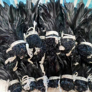 Materiales para Montaje <span class=keywords><strong>de</strong></span> Moscas <span class=keywords><strong>Plumas</strong></span> <span class=keywords><strong>de</strong></span> Cola <span class=keywords><strong>de</strong></span> Gallo Negras Ensartadas para Disfraces <span class=keywords><strong>de</strong></span> <span class=keywords><strong>Carnaval</strong></span> Espectáculos <span class=keywords><strong>de</strong></span> Samba <span class=keywords><strong>Tocados</strong></span> y Ropa - Product Image 1