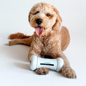 Juguetes modernos para perros con enriquecimiento de huesos malvados, <span class=keywords><strong>Robot</strong></span> de activación, juguete en movimiento con nuevo Material, PC, moda sostenible para mascotas - Product Image 1