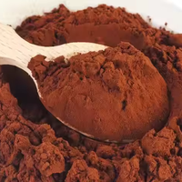 Poudre de cacao pour shake protéiné et substitut de repas, qualité alimentaire, faible en gras, naturelle