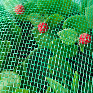 Muỗi cán cửa sổ Net nhà máy giá rẻ giá HDPE + 5% UV trên ngoài trời - Product Image 4