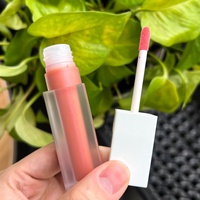 Base de Lápiz Labial Líquido Vegano Mágico de Larga Duración, Resistente al Agua, en Varios Colores, Precio de Fábrica Económico
