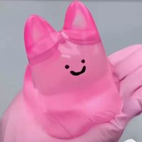 DIY Injizierbares Klares Katzen-Gelee-Quetschspielzeug, Neuartiges Nachfüllbares Squeeze-Spielzeug zur Ablenkung Negativer Emotionen und Stressabbau