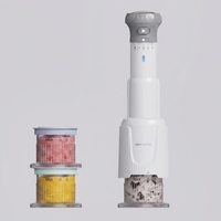 Machine à glace à fruits sans produits laitiers 250W, populaire, mini, pour usage domestique, facile à utiliser, portable et tendance
