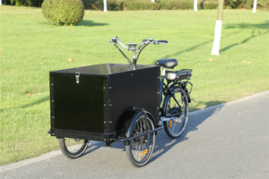 Bicicleta Eléctrica Familiar Tipo Velomóvil, Triciclo Eléctrico de Cola Larga, 48v250w con Sensor de Torque - Product Image 2
