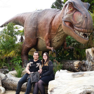 Fabricant professionnel de modèles de dinosaures animatroniques pour le projet de parc d'aventure jurassique - Product Image 4