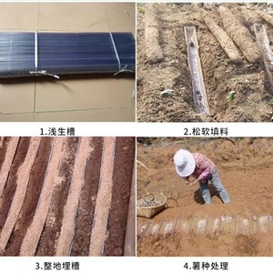 <b>Plastic</b> Yam <b>Planting</b> <b>Trough</b> U Shaped Shallow Cultivation Tube 80cm 100cm 120cm Crystal Clear Guiding Growth Direction - Product Image 4