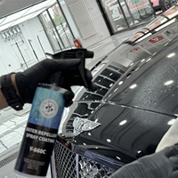 Rareté Céramique Spray SiO2 Revêtement TOP QUALITÉ Auto Detailing Shop Professionnel Hydrofuge Revêtement Spray 500ml