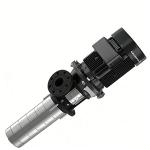 Bomba centrífuga de inmersión Grundfos MTR de 1.5 Kw y 230 V para transferencia y reemplazo de agua - Product Image 2