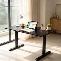 Vente directe d'usine, modèle économique, bureau électrique à moteur unique, bureau d'ordinateur réglable en hauteur avec tube inversé