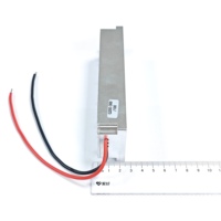 Amplificador de Potencia RF de 200-300MHz y 100W para Contra-Drones