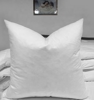 Vente chaude : Inserts de coussin en duvet et plumes d'oie et de canard pour un sommeil sain, qualité hôtelière 5 étoiles, pour hôtels et usage domestique