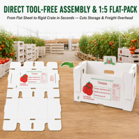 Caisse pliable en PP ondulé pour tomates, avec système de verrouillage par languette, emballage auto-scellant pour produits frais, boîte ventilée réutilisable, OEM