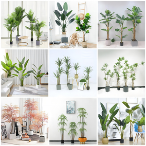 Abutilon Phoenix palmera planta de imitación Artificial <span class=keywords><strong>Kentia</strong></span> Palma cartón hojas de plástico hoja de plástico plantas de plástico Decoración habitación - Product Image 5