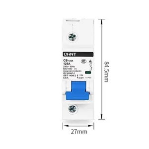 Chint Cb-125 Dc Mcb 1P 2 P 230V 80a 100a 125a Fotovoltaïsche Zonne-Energie Systeem 230vac 60/110vdc IEC60947-2 2 Polen 400V 125/220V