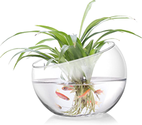 Center de Table décoration soufflé à la main Globe en verre transparent Borosilicate incliné bonbons fruits plats plante Terrarium fleur Vase bol