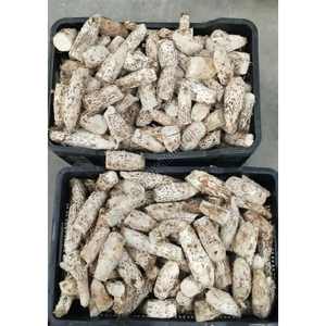 Poudre de bromélaïne : Complément enzymatique pour la digestion des protéines, le soutien anti-inflammatoire, la transformation alimentaire, la brasserie, la pâtisserie et les extraits végétaux - Product Image 3