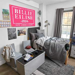 ธงบิลลี่สีชมพู ปี 2024 ขนาด 3x5 ฟุต คุณภาพสูง สำหรับตกแต่งผนังหอพักมหาวิทยาลัยทั้งภายในและภายนอก รับสั่งทำตามแบบ - Product Image 2