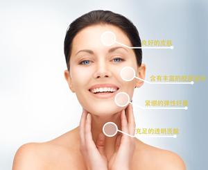 Supply Cosmetic Grade Glabridin Licorice Extract in Stock Glabridin 98% <strong>Powder</strong> - Product Image 5