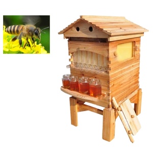 Hot <b>Sale</b> Automatic <b>Beehive</b> Wooden <b>Beehive</b> Box Pine Wood Plastic Frame <b>for</b> Beekeeping Farm Use Competitive Price - Product Image 2