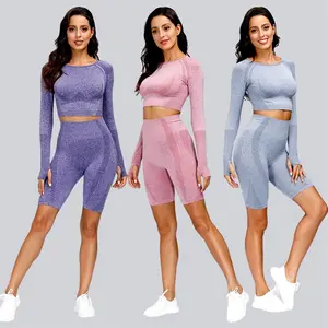 Manufacturers Female Summer Seamless Gym Clothing For Women Workout Yoga Set For Sexy