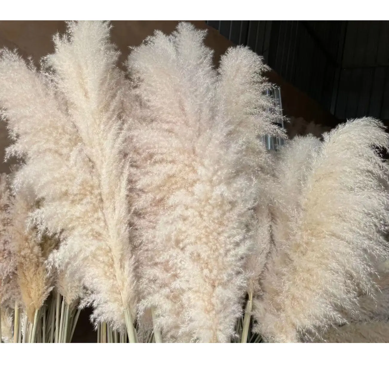 wedding long tall mixed colors beige pampas grass 60cm 5ft pampas grass branch tall floral backdrop with pampas grass
