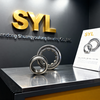 Roulement à rouleaux cylindriques de qualité supérieure de la marque SYL Nu203ecp Nu218 Nu216 Nu210 Nu319 Nu315 Nu314 Nu2332 pour équipements industriels