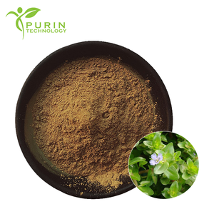 Bubuk Bacoside Larut Air 50% Saponin Ekstrak <span class=keywords><strong>Bacopa</strong></span> Monnieri Bubuk Bacopasides 50% dari Saponin Purslane Palsu - Product Image 1