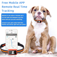 Nouveau design de traceur GPS pour animaux de compagnie avec E-SIM, collier pour chien et chat 4G avec positionnement à distance en temps réel, localisateur de chien