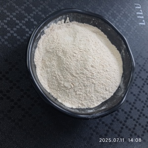 Poudre de Collagène Marin Pur Hydrolysé Peptides de Poisson pour Produits de Beauté - Product Image 6