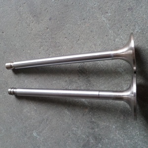 Nhà máy cung cấp van nạp & xả 1361196 & 1361193 cho động cơ Scania ds8 & DN8 bao gồm cả vòi van - Product Image 2