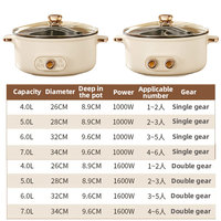 YUEDISI Plaque de cuisson électrique antiadhésive 28/32 cm 1000 W, Micro-pression électrique, Double saveur, Hot Pot