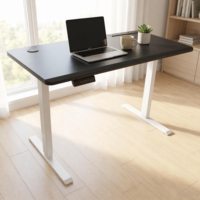 Cadre de bureau électrique moderne à moteur unique, réglable en hauteur sur 2 niveaux, pour position assise ou debout, base de bureau ergonomique en métal pour la maison