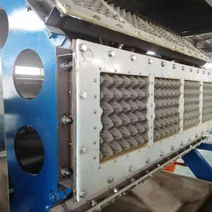 خط إنتاج أوتوماتيكي لتشكيل البيض ، مع نظام تجفيف - Product Image 6